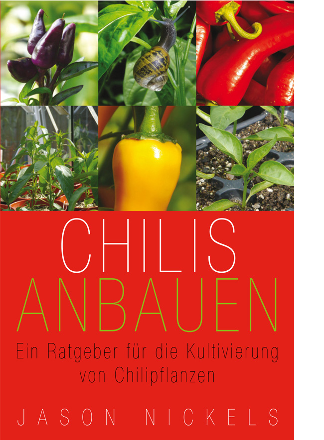 Chilis anbauen