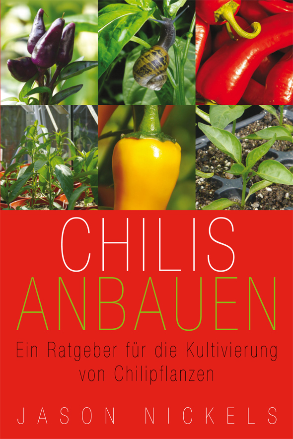 Chilis Anbauen